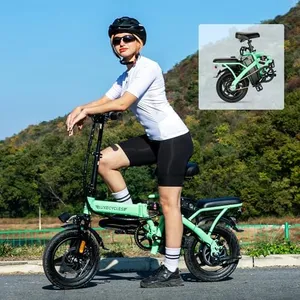 RegalRider Foldable Electric Bike, 14" Folding Ebike 500W Peak Motor up to 20MPH Commuter Bicycle, 48V13AH Removable Battery 35 Miles Range Folding Electric Bike for Adults, 3-Speed Gear w/LCD Display