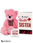 alDivo Sister Gifts of Soft Teddy Bear, Sister Key Ring and Sister Wishes Greeting Card (MKD10482)