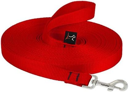 LupinePet Basics 3/4" Red 30-Foot Extra-Long Training Lead/Leash for Medium and Larger Dogs