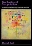 Biophysics of Computation: Information Processing in Single Neurons (Computational Neuroscience Series)