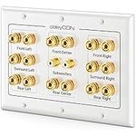 deleyCON Multimedia Speaker Boxes Wall Socket Wall Plate with Banana Plug Sockets for 7.1 Surround Sound System and Subwoofer Home Cinema