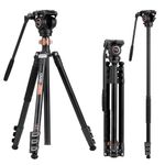 Cayer FP2450 Video Camera Tripod, Professional Camera 190cm Tripod Leg with Fluid Drag Video Head, 4-Section Compact Aluminimum Tripod Convertible to Monopod for DSLR Camera, Video Camcorder