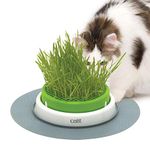 Catit Senses 2.0 Grass Planter, Green (43161W)