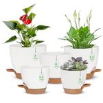 Self Watering Planter Set, 5Pack Small Plastic Plant Pots with Drainage Holes and Saucers, Modern Flower Pots Set for Indoor Outdoor Plants - White