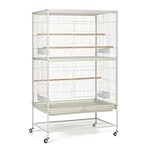 Prevue Pet Products Wrought Iron Flight Cage with Stand, Chalk White, Large