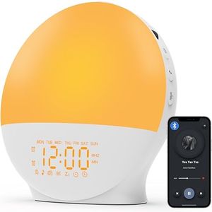 2025 Upgraded Wake Up Light Sunrise Alarm Clock for Bedroom, 17 Nightlights, Sound Machine with 5W Bluetooth Speaker, 22 Soothing Sounds, Sleep Timer, Dual Alarms, FM Radio, Music Rhythm Light Effects