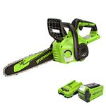 Greenworks 40V 12" Cordless Compact Chainsaw (Great for Storm Clean-Up, Pruning, and Camping), 2.0Ah Battery and Charger Included