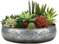 MyGift 11-inch Galvanized Silver Metal Round Planter Bowl with Brass-Tone Pebbled Rim
