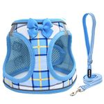 JdotMIN Step-in Plaid Dog Harness and Leash Set, for Small Dog and Cat Vest Harness No Pull, Escape Proof, for Walking Puppy and Kitten, for Travel and Car, Harnais Pour Chien (Blue, XS)