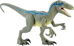 Mattel Jurassic World Large Dinosaur Toy, Super Colossal Velociraptor Blue Action Figure 3.5 Feet Long with Eating Feature, Toy for Kids