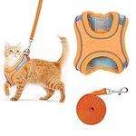 Kcysta Cat Harness and Lead Set Escape Proof, Cat Vest Harness and Leash Set, Adjustable Cat Harness Escape Proof with Reflective Strip for Outdoor Walking, Training (Orange, L）