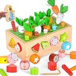 Montessori Toys Wooden Educational 