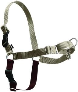 PetSafe Easy Walk No-Pull Dog Harness - Ultimate Harness to Help Stop Pulling - Pull-Free Walks - Take Control & Teach Better Leash Manners - Patented Martingale Loop Design - Fawn, Large