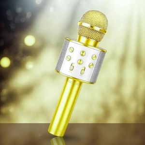 Toy Imagine Rechargeable Karaoke Mic for Kids Wireless Bluetooth Mike for Singing, Practice Microphone for Kids, Music Singing Toy Birthday Gift for Boys & Girls 3+ (Assorted)