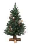 Kaemingk 683511 Frosted Sherwood Mini Tree with Wooden Base, Soft Needle PVC, Inside, Height 60 cm