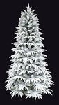 Snowy Forest Spruce Feel Real PE Fl