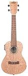 Kala Brand Music Co. KA-20 Collection, 4-String Ukulele, Right, Natural, Concert (KA-20CE)