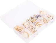 SOLUSTRE 1 Box Natural Tiny Shells Small Sea Shells Decorative Conch Miniature Seashells Decors for DIY Bottle Ornament Wall Art Beach Party Decor Fish Tank Vase Filler