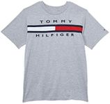 Tommy Hilfiger Boys' Vintage Flag Tee (Big Kids), Legacy Grey Heather, 20