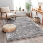 EMAAR CARPETS Handwoven Plain Premium Shag Collection Rug for Home Living Room Bedroom Plush Microfiber with 2 inch Pile Height, Size 5x7 Feet, Color Silver Grey