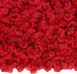 2000Pcs Artificial Fake Red Rose Petals, Romantic Silk Flower Petals Confetti for Bedroom Bed Wedding Valentine's Day ​Propose Decorations