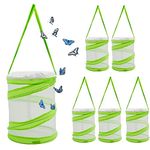 Butterfly Habitat 6pcs Clear Butterfly Container Collapsible Green Mesh Cage Butterfly Cage (7.09 * 5.5inch)