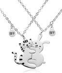 Easyski Best Friends Chains BFF 2 Necklace Set 2 Cat and Rabbit Matching Friendship Necklace for 2 Teen Girls BFF Sister.