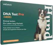 vetevo Dog DNA Test for Breed Ident