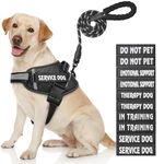 Service Dog Vest, DEWVIE Dog Harness and Leash Set with 10 Patches, Breathable in Training Pet Vest Harness with Soft Handle for Small Medium Large Dogs (Black, X-Small)