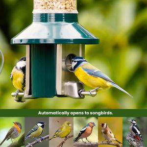 Roamwild PestOff Squirrel Proof Bird Feeder – 2L Mixed Seed/Sunflower
