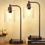 Set of 2 Oil Rubbed Bronze Table Lamps with 2 USB Port, Fully Stepless Dimmable Lamps for bedrooms, Industrial Bedside Nightstand Desk Lamps with Seeded Glass Shade for Living Room 2 LED Bulb Included