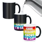 Lairyan Nobody Knows I’m Gay Rainbow Heat Change Mug, LGBTQ Pride Mug, Funny Coffee Mug for Transgender Lesbian Bisexual, Novelty Funny Gag Gay Gifts