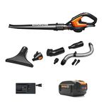 Worx-cordless-leaf-vacuums