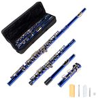 LeSage Closed Hole C Flutes 16 Key Blue Flute for Kids Student Flute Beginner Starter with Flute Case Maintenance Kit Cleaning Cloth C Foot Offset G Y-arm