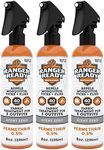 Ranger Ready Permethrin Spray for Clothes and Outdoor Gear - Permethrin Insect & Tick Repellent - Scent Zero (8oz, Pack of 3)