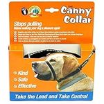 Canny Collar for Dog Training - The