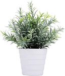 Meneco Artificial Plant for Decor - Small Faux Plant Potted Indoor Plant Artificial Potted Plant Decor for Home and Office (Rosemary Green)