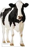 Cardboard People Cow Life Size Cardboard Cutout Standup