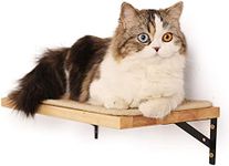 FUKUMARU Floating Wall Shelf with Cat Scratching Mat, 0.79 Inch Thick Solid Rubber Wood Hanging Shelves, 15.7 x 10 Inch