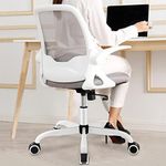 KERDOM Office Chair, Ergonomic Desk Chair, Breathable Mesh Computer Chair, Comfy Swivel Task Chair with Flip-up Armrests and Adjustable Height(KD933-C-Light Gray)