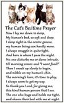 Cat Bedtime Prayer for Cat Lovers - Large Fun flexible Fridge Magnet- size 16cms x 10 cms (approx. 6" x4")