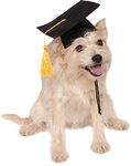 Rubies Costume Co Black Graduation Hat Pet Accessory, Medium/Large