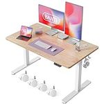 BANTI 48'' Standing Desk, Electric 