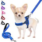 Eyein No Pull Small Dog Harness & Lead, Heavy Duty Easy for Walk Vest Harness Soft Padded Reflective Adjustable Puppy Harness Anti-Twist Pet Lead Quick Fit for Small Dog Cat Animal (S, Blue)