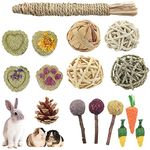 Rabbit Chew Toys, Hamster Chew Toys Natural, Chewable Teething Activity Toys for Bunny, Rabbit, Hamster, Guinea Pig (16PCS)