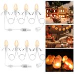 Accessory Cord with 4 LED Light Bulbs, 8.4Ft Christmas Village Lights Blow Mold Light Kit Replacement C7 Light Cord for Christmas Village Houses Halloween Pumpkin Craft Decor, Warm White Light(2 Pack)