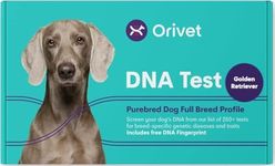 ORIVET Dog DNA Test Kit - Golden Retriever Full Breed Profile | Puppy Testing Against 250 Medical Health Risks & Traits | Genetic Fingerprint & Wellness Plan | at Home Cheek Swab