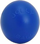 Jolly Pets Push-n-Play Dog Toy, 25 cm, Blue