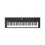 Roland GO:KEYS 5 Music Creation Keyboard | 61-Note Keyboard | Built-In Stereo Speakers | Mic Input | Bluetooth Audio/MIDI Support for Music Streaming - Graphite