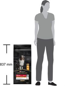 Pro Plan Medium Adult Dog Food 14kg – Complete Dry Nutrition